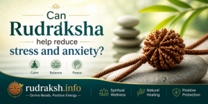 uploads/blog/7532157751304269fa16dcc8017rudraksha for stress.png